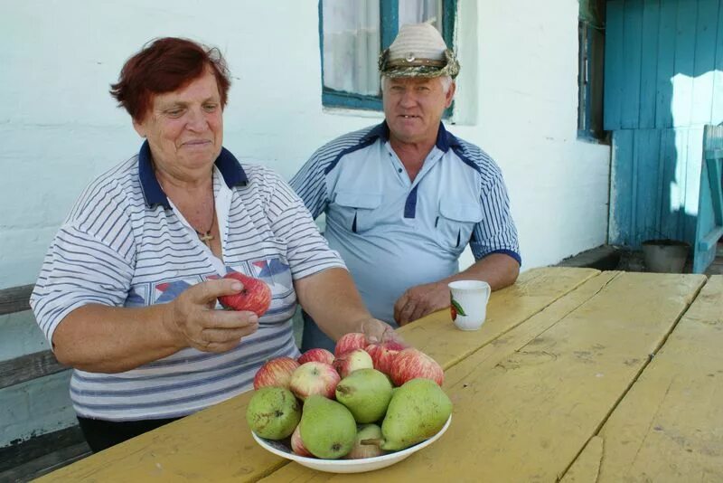 Краснодарский край новопокровский незамаевский. Поселок Незамаевский Новопокровский район. Незамаевское сельское поселение Новопокровский район. Совхоз Незамаевский.