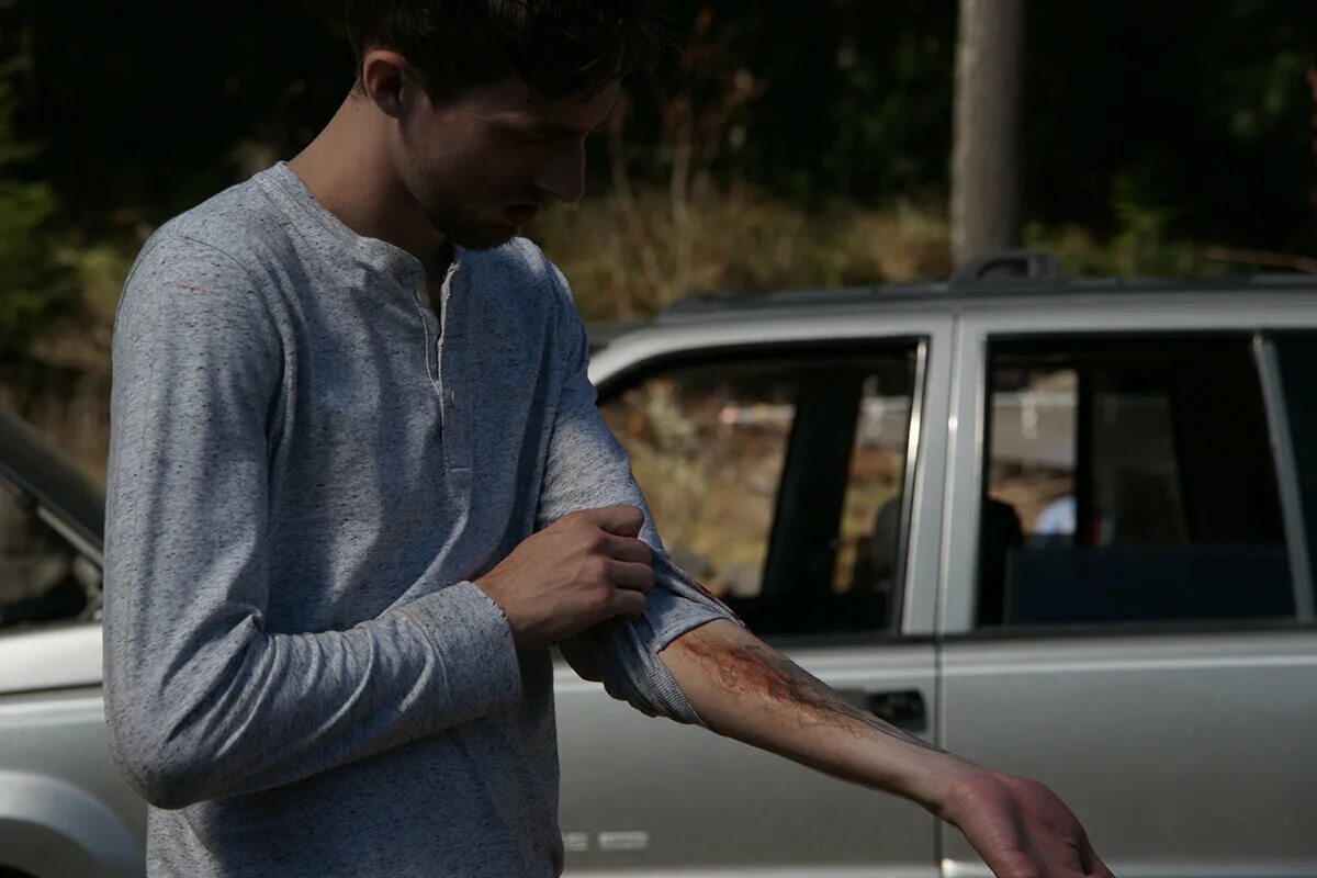 лихорадка 2015