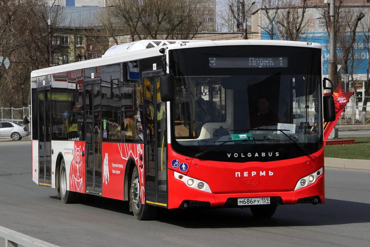 Волгабас 5270.02. Волгабас Пермь м826са. Автобус Волгабас 5270. Пермский автобус VOLGABUS. Туры из перми на автобусе