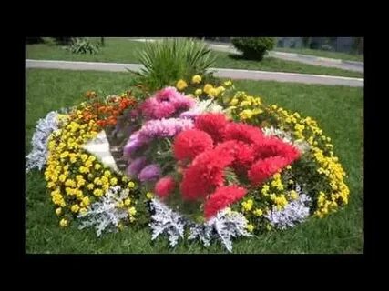 Растений украсить клумбу осенью