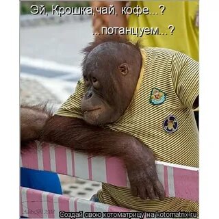 Поставь настоящий