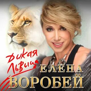 Слушать песню дикая львица