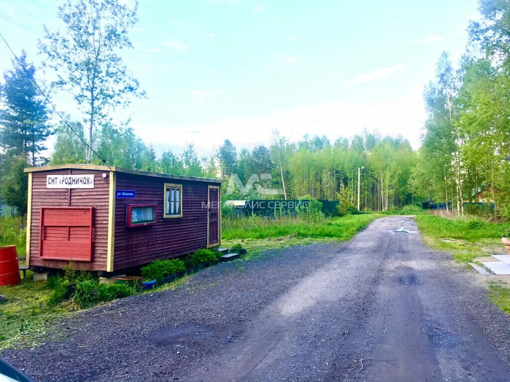 Купить участок снт родничок. СНТ Родничок. СНТ Родничок Московская область. СНТ Родничок Тосненский район. СНТ Родничок завод 400.