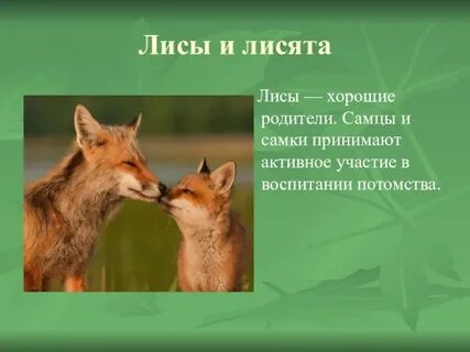 Лисички 3 класс математика
