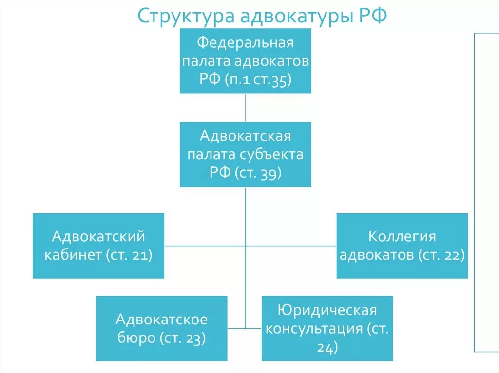 Органы самоуправления адвокатов. Федеральная палата адвокатов РФ схема. Организационная структура коллегии адвокатов схема. Организационная структура адвокатуры в РФ. Организационная структура палаты адвокатов.