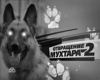 Песня возвращение мухтара