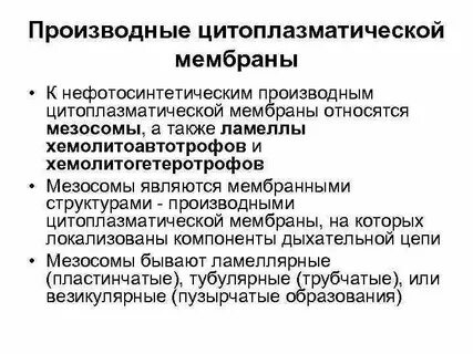 Межклеточное взаимодействие в цитоплазматической мембране