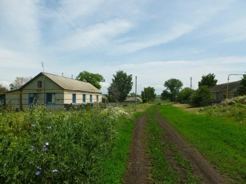 Село Ушинка Белинский район. Село Ушинка Пензенская область. Деревня в Белинском районе Пензенской области. Колударово Земетчинский район Пензенская область.