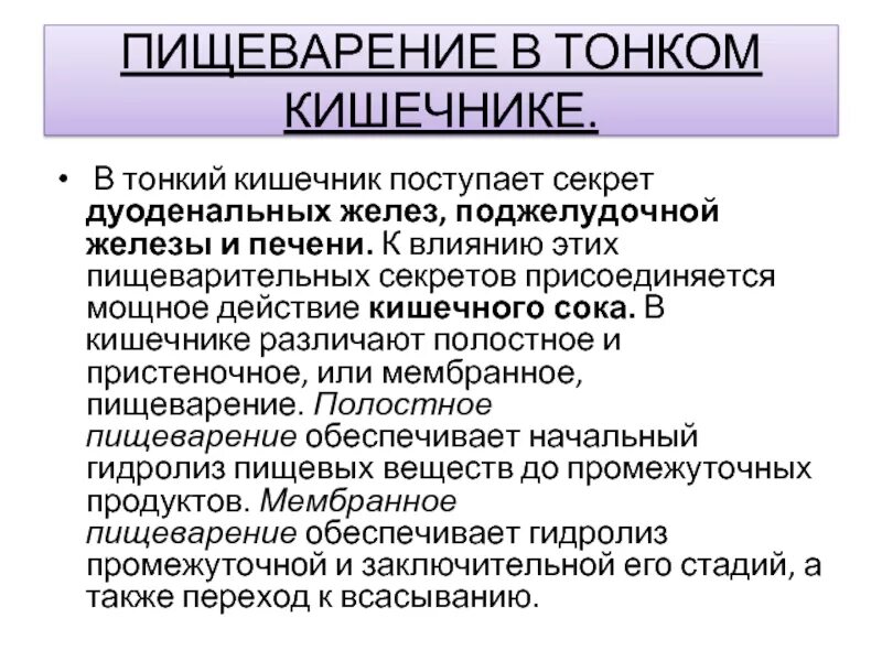 Гидролиз в пищеварении. Пищеварение в тонком кишечнике. Секрет тонкого кишечника. Регуляция пищеварения в тонком кишечнике. Пищеварение в тонком кишечнике физиология.