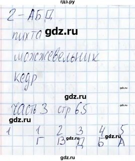 Биология пятый класс параграф 19