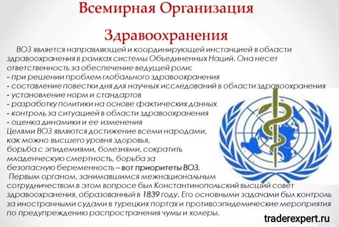 На сегодняшний день предприятие является