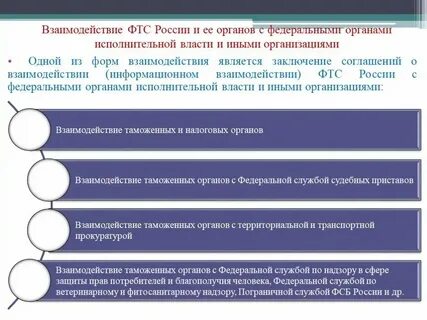 Взаимодействие таможенных органов с правоохранительными органами