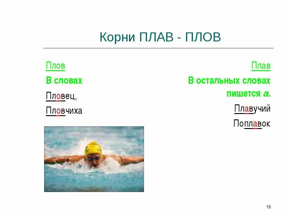 Как пишется плавчиха. Корни плав плов. Пловец или плавец правило. Корни плав плов правило. Предложение со словом пловец.