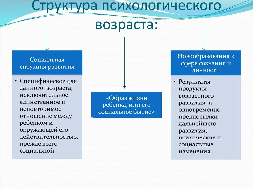 Три составляющие возраста