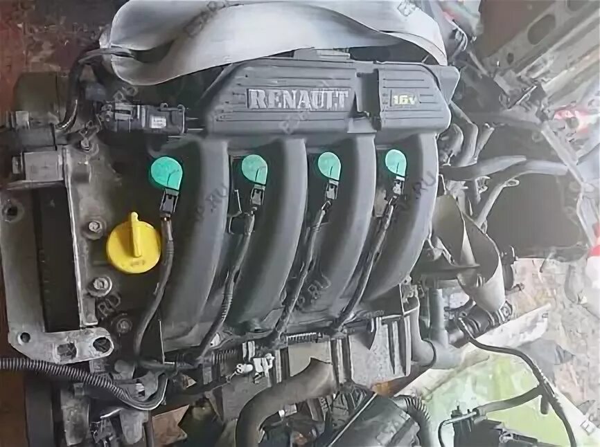 Двигатель Renault k4m. Рено Лагуна двигатель k4m. Рено Сценик 1.4. Scenic 1.6v 16. Купить двигатель логан 1.6 новый