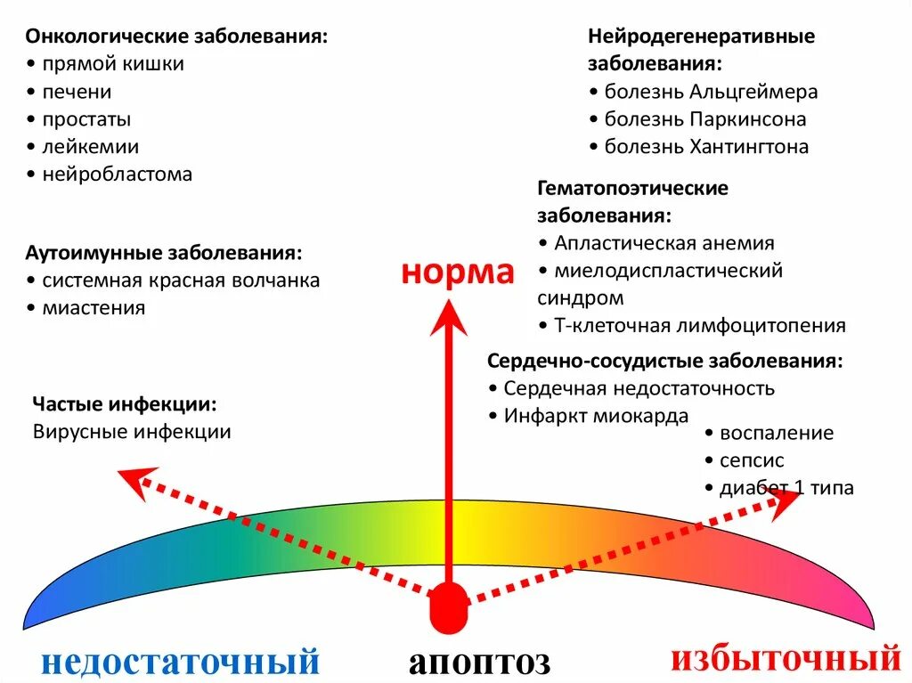 Нейродегенеративное заболевание головного. Нейродегенеративные заболевания. Классификация нейродегенеративных заболеваний. Статистика нейродегенеративных заболеваний. Патогенез нейродегенеративных заболеваний.