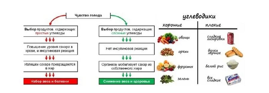 Углеводы простые сложные пищевые волокна. Белки сложные углеводы и жиры таблица продуктов. Углеводы схема продукты. Пища с высоким содержанием сложных углеводов. Источники голода