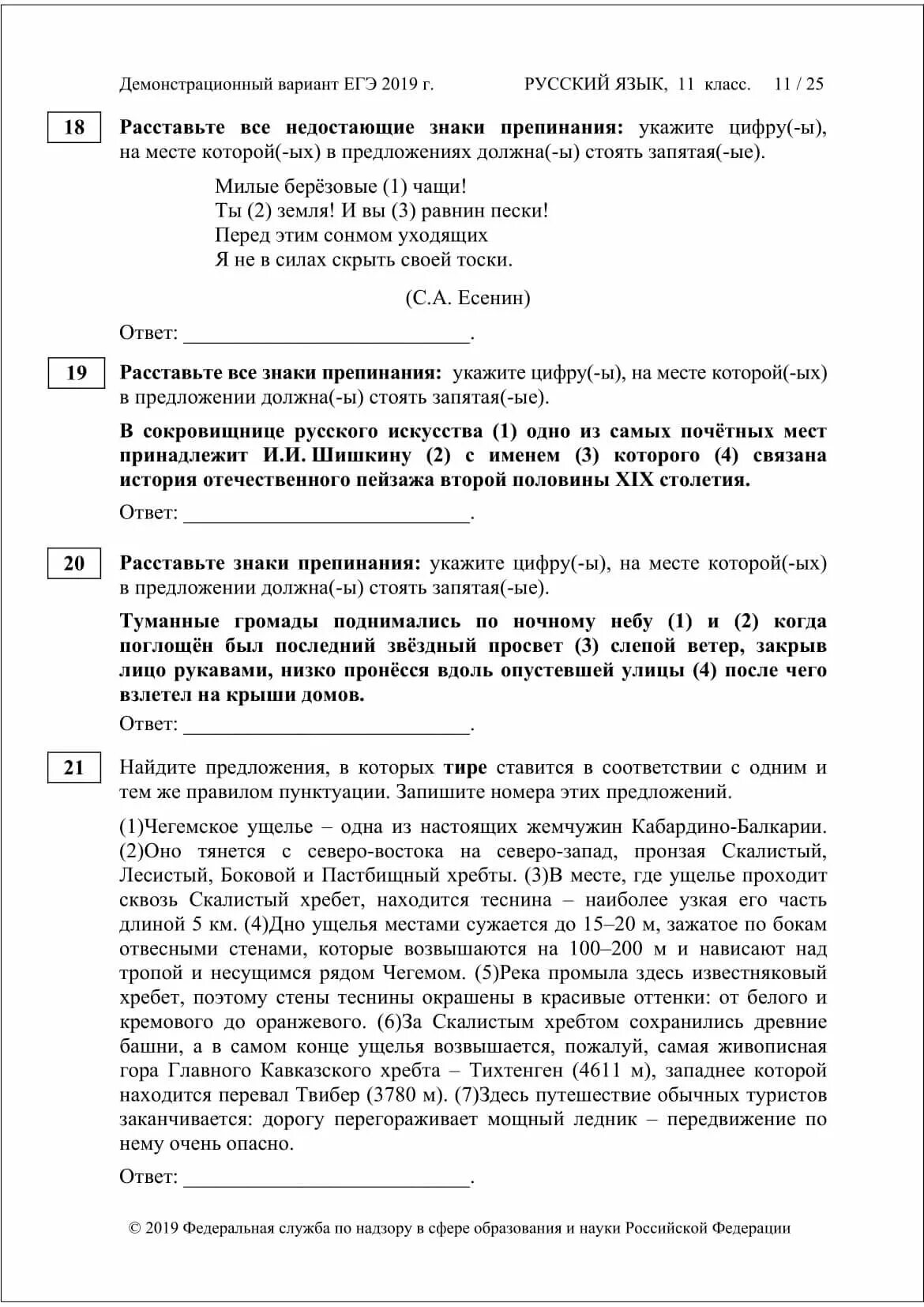 Демонстрационный вариантег. Единый государственный экзамен по русскому языку. ЕГЭ русский язык варианты. Вариант ЕГЭ по русскому языку. Демо версия егэ русский