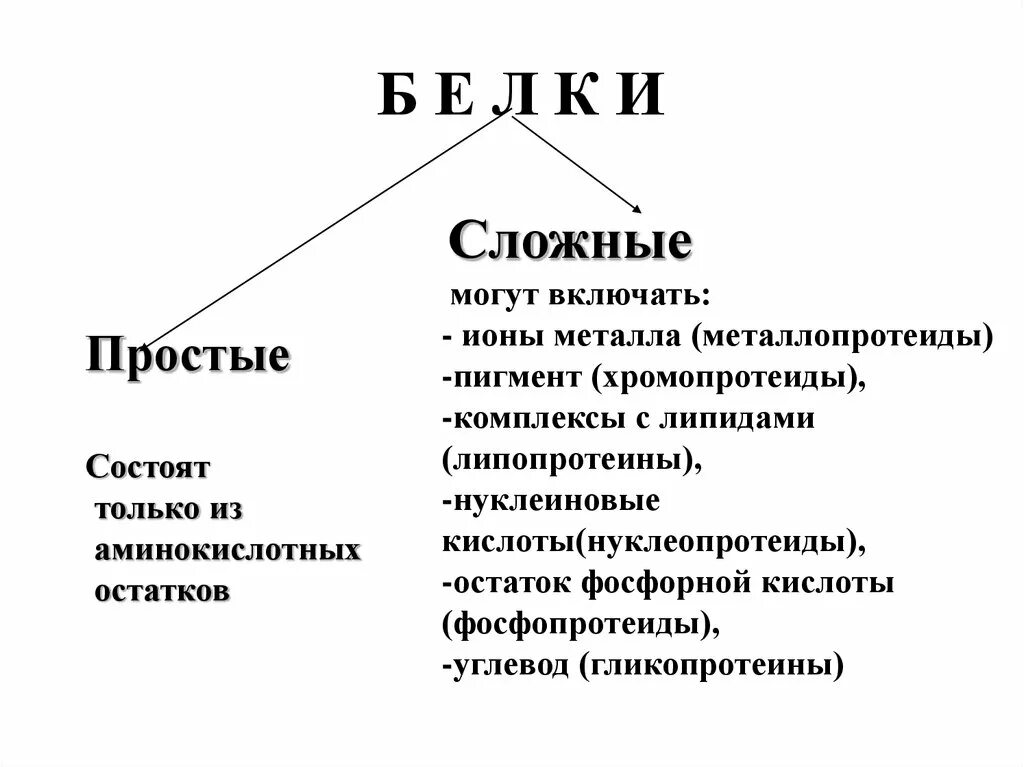 Белки презентация 10 класс химия