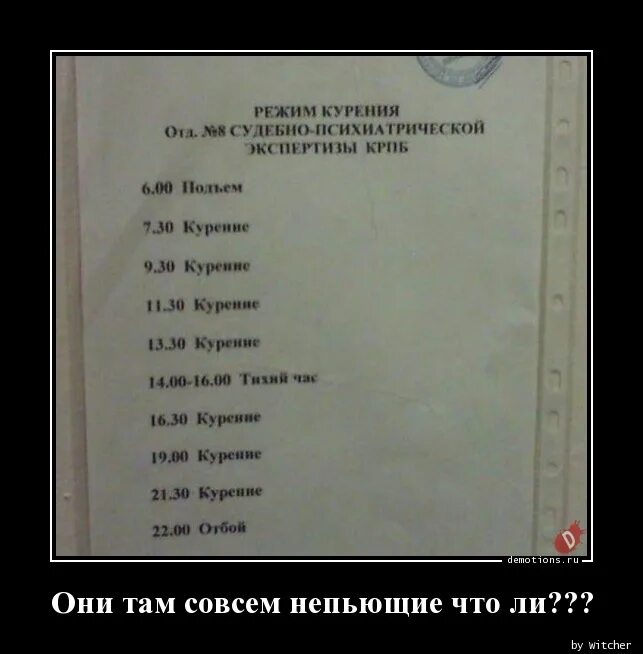 Они там совсем. Они там совсем