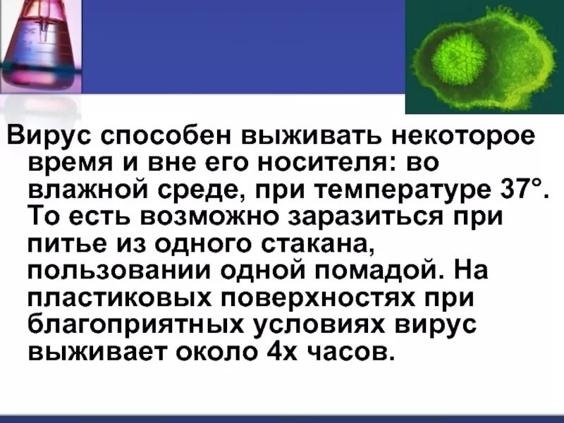 Есть ли вирусы на сайте. На что способны вирусы. Среды для вирусов. Вирусы от среды. Вирус во внешней среде.