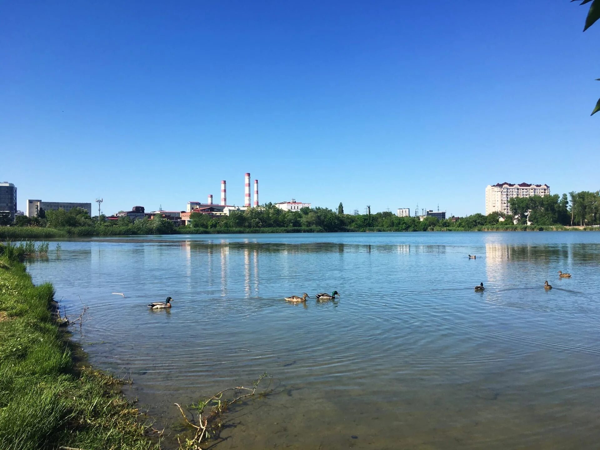 Озеро Старая Кубань Краснодар. Озеро Кубань в Краснодаре. Озеро Старая Кубань Краснодар пляж. Парк Старая Кубань Краснодар.