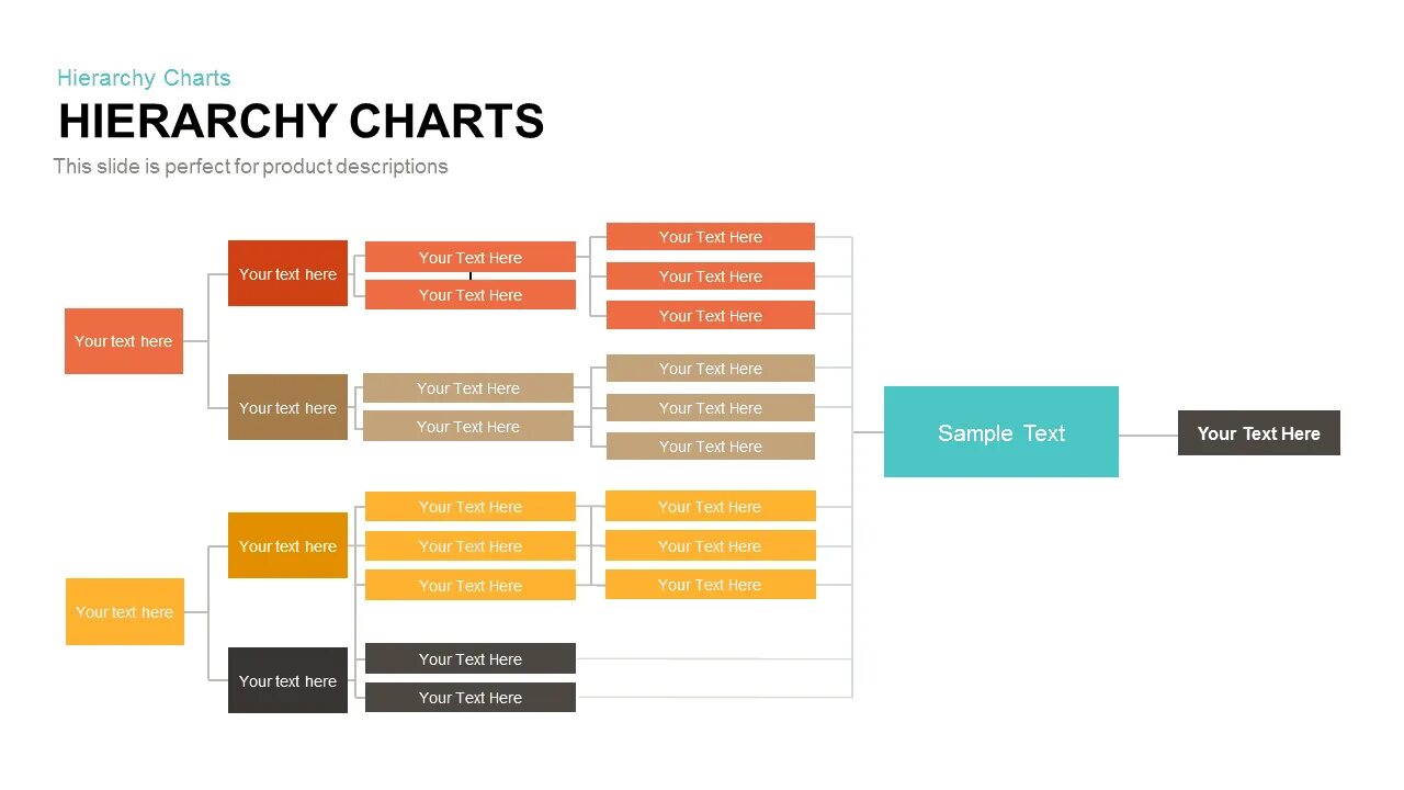 Hierarchy перевод. Hipo диаграмма. hierarchy diagram. hierarchical structure. hierarchical structure of company.