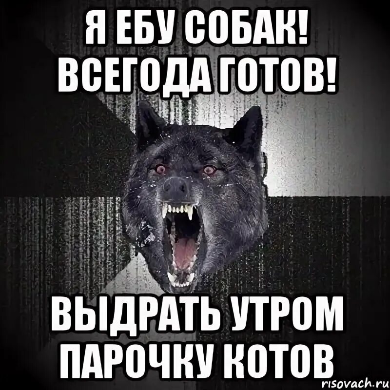 Простой кобель песня хочешь