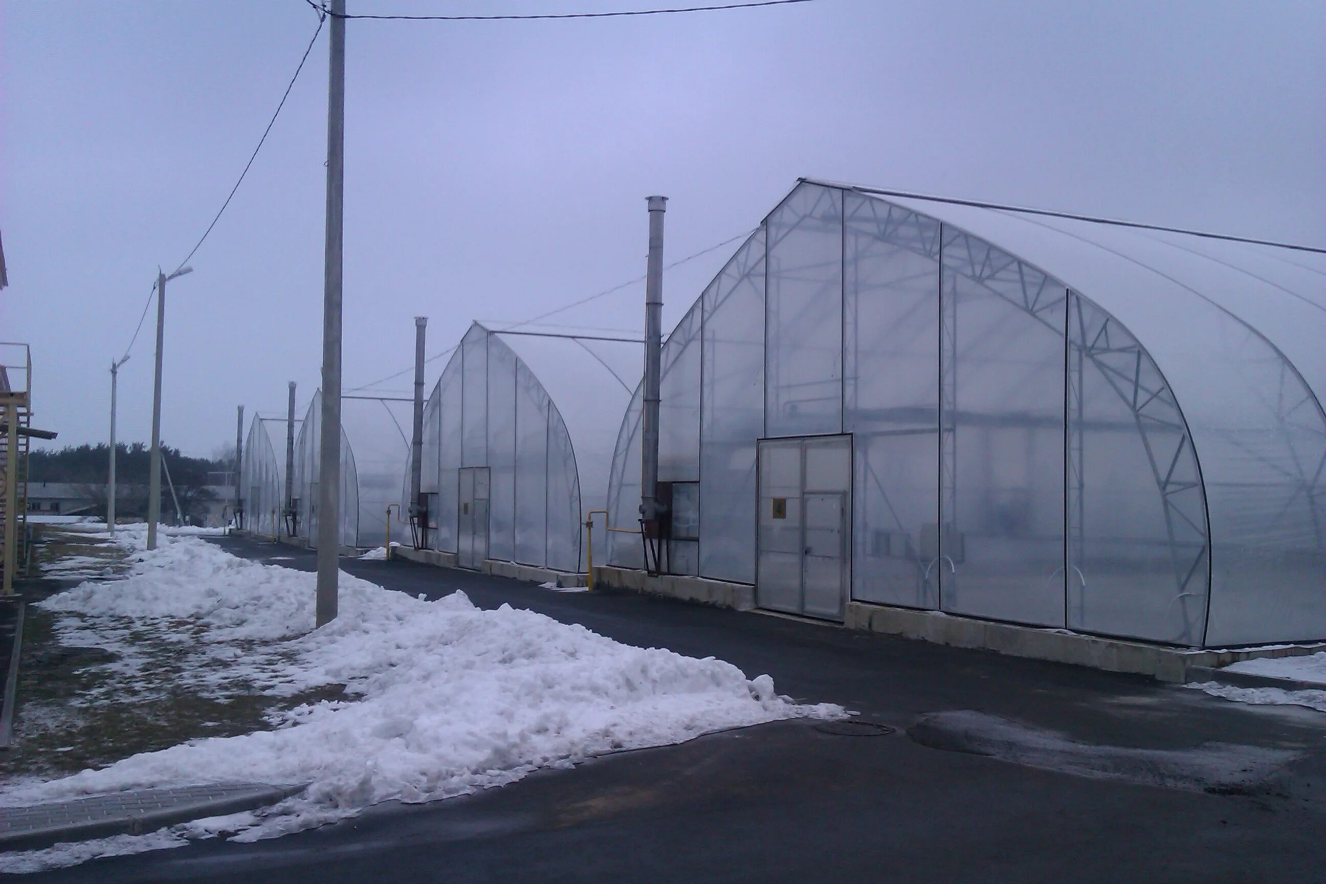 теплицы родина семилукский район. тепличный комбинат «воронежский» жуков. ул тепличная 8а воронеж. теплицы чайковского тепличный комбинат. , 2.