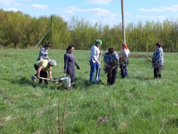 Гордеевка Кореневский район. Гордеевка Курская область Кореневский район. Викторовка Курская область Кореневский район. Каучук Кореневский район. Каучук курской области