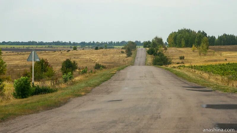 Погода в воробьевке воронежской рп5. Калач- Воробьевка. Станция Лещаная Воронежская область. Воробьёвка Воронежская область. Воробьевка Калач Воронеж.