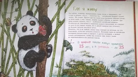 Большая панда и маленький дракон