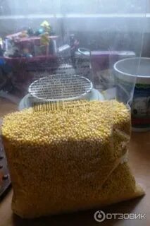 В шкафу стоят 5 литровых