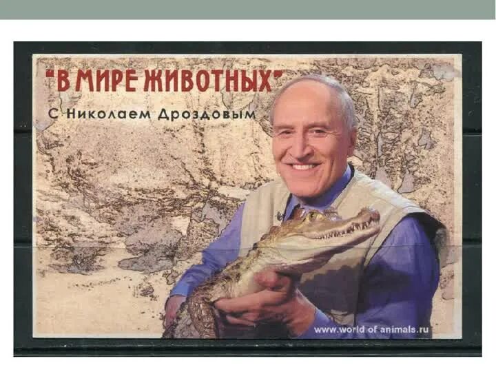 Природа с дроздовым. Природа с дроздовым