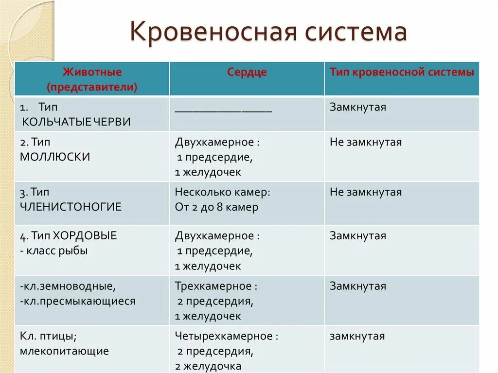 Типы кровеносных систем таблица. Кровеносная система животных таблица. Типы кровеносных систем у животных. Таблица животные представители сердце Тип кровеносной системы.