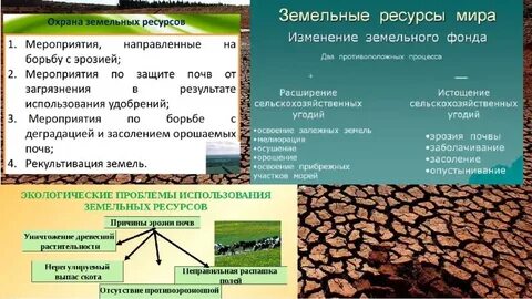 Земельные ресурсы виды использования