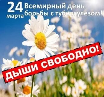 0 0 24 март