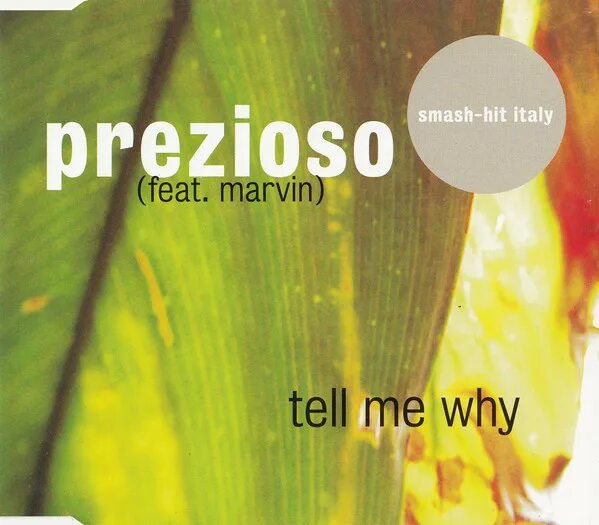 Prezioso feat. Marvin - tell me why. Tell me why prezioso. Tell me why обложка. Prezioso feat. Marvin tell me why Extended Mix 1999.