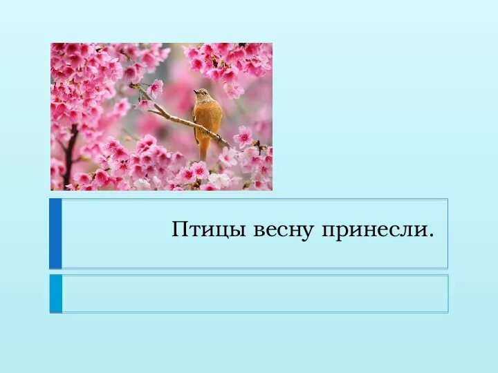 Птицы весну принесли. Сладков птицы весну принесли. Текст птицы весну принесли. Рассказ Сладкова птицы весну принесли. Птицы весной презентация