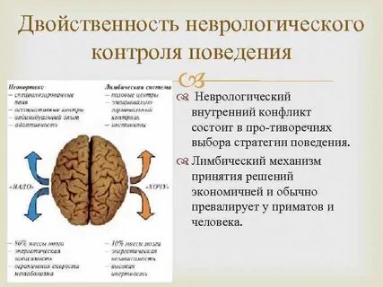 В чем заключается двойственность