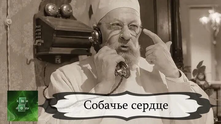 Какие операции проводил преображенский. Собачье сердце 1988. Профессор Преображенский. Монолог профессора Преображенского о разрухе.