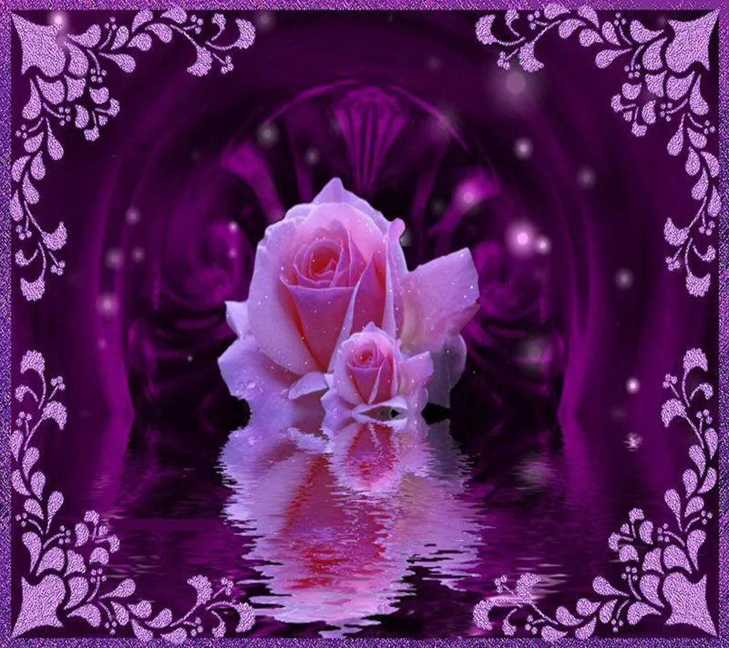 Розово-фиолетовые розы. Мерцающие сиреневые цветы. С днем рождения фиолетовые цветы. Фиолетовые розы фон.