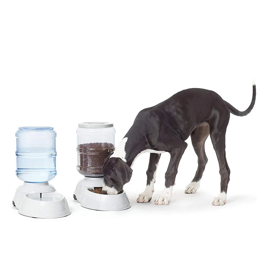 Pet Automatic Water Feeder. Автоматическая кормушка petsafe 2. Eurocan. Автоматическая кормушка для собак. Автоматическая кормушка и поилка для кошек. Купить поилку для собаки