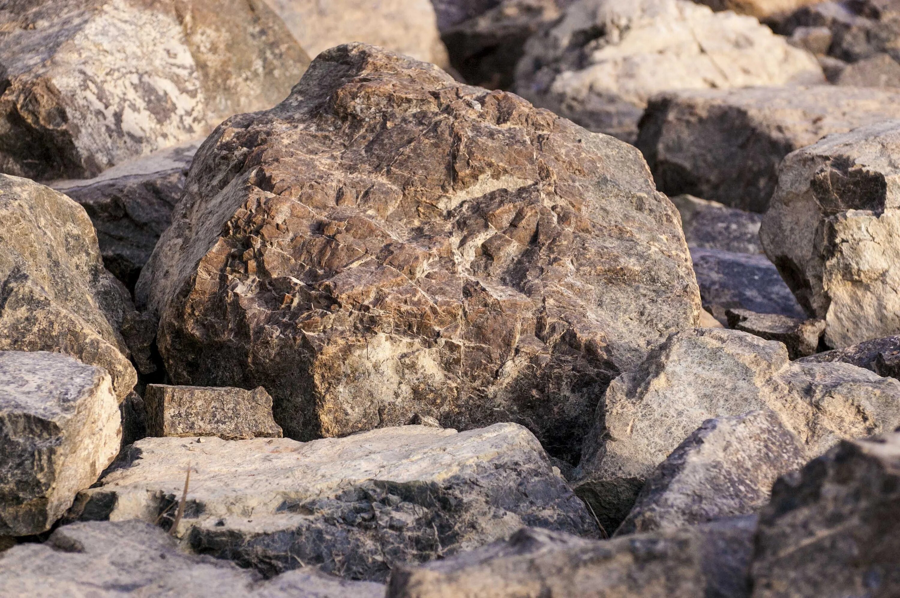 O stone. Гранит валун. Гранитный камень. Гранит в природе. Гранитный камень в природе.