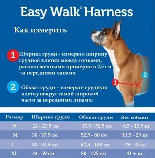 Шлейка как правильно подобрать