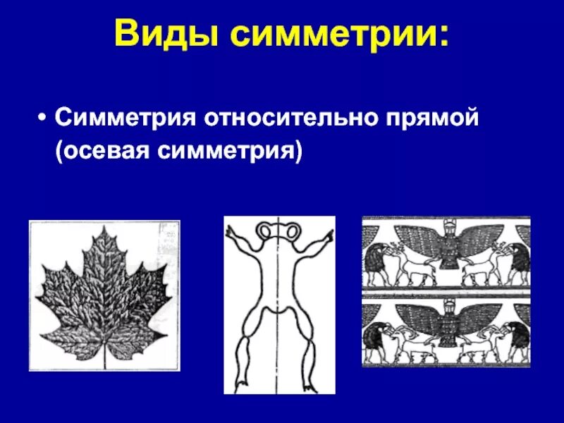 Осевая симметрия вид. Типы симметрии. Симметрия вокруг нас. Виды симметрии в рисовании. Симметрия виды симметрии.