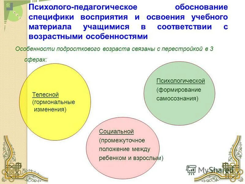 прохождение программного материала. особенности объяснения. психолого педагогическое обоснование занятия. эссе проектная деятельность история. освоения материала учащимися.