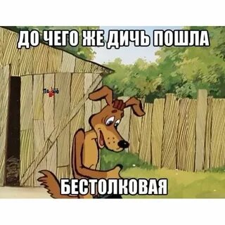 Что говорят не пойдешь сядешь