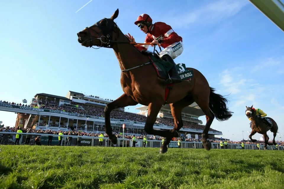Grand national horse race в британии. Стипль-чез конный спорт. Grand national horse race великобритании. Скачки 1973 года. Лошади стипль чез.