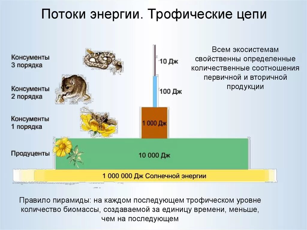 На каждый последующий уровень переходит энергия